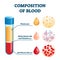 Composition of blood vector illustration. Labeled anatomical structure scheme