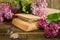 Composition of the blooming lilac branches, books and clock