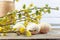 Composition of blooming willow twigs, dogwoods and Easter eggs with a pattern of yellow and green dots on a wooden retro backgroun