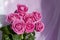 Composition with a bouquet of pink roses on a delicate fabric background. A holiday gift, pastel colors. Festive delicate