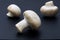 Composition of champignons. White mushrooms on a black background.