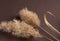 Composition of common reed spikelets on a  background. Dry grass as decorative element