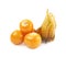 Composition of couple physalis fruits