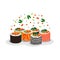 Composition of different rolls and sushi with salmon and caviar