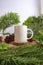 The composition displays the product. white mug on old round wood with fir leaves decoration. summer product display ideas