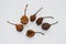 Composition from dried fruits on white background. A handful of dried pears