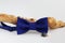 Composition: Extravagant blue bow tie twisted wooden branch and sea pebbles on a white background