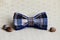Composition: Extravagant checkered blue with a black bow tie, Shells from snails on a beige background