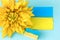 Composition with flag of Ukraine, flower and soap.