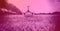 Composition of football on grass pitch with copy space and pink tint