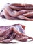 Composition of fresh tentacles of the squid