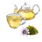 Composition of glass teapot and cup, passion flower watercolor illustration isolated on white.