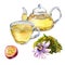Composition of glass teapot and cup, passion flower watercolor illustration isolated on white.