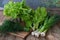 Composition of green herbs and vegetables. Organic spring mix for salad on brown wooden background. Onion, lettuce, parsley, leeks