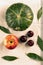 Composition of green pumpkin, red apple, three blue plums and leaves on light fabric. Farmer harvest. Decor of vegetable shop.