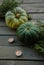 Composition of green pumpkins herbs and candles