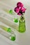 Composition with hard sunlight and colored shadows: wilted roses in a green glass vase near the green stacks on the