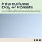 Composition of international day of forest text and blue background
