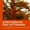 Composition of international day of forest text and tree