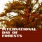 Composition of international day of forest text and tree