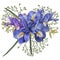 Composition of iris flowers with foliage. Isolated watercolor illustration.