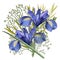 Composition of iris flowers with foliage. Isolated watercolor illustration.