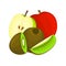 Composition of juicy apple and kiwi. Ripe vector kiwifruit apples fruits whole slice appetizing looking. Group tasty