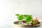 Composition with kiwi jelly in bowls on table.