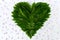 Composition of leaves and flower petals - green heart with pink petals. Concept of love of nature and protection of environment