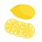 Composition of lemon fruits in sliced and whole form on a white background in vector