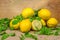 Composition of lemons and green salad