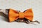 Composition: orange with a blue bow tie and a wooden stick curve on a beige background.