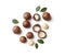 Composition with organic Macadamia nuts