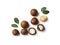 Composition with organic Macadamia nuts on white background