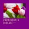 Composition of parkinson\\\'s disease day text over bunch of multi coloured tulips