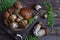 Composition of porcini in the basket on wooden background. White edible wild mushrooms. Copy space for your text