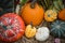 Composition of pumpkin squash and melon on natural background