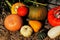 Composition of pumpkins and summer and winter squashes