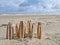 Composition of razor clams on beach