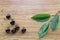 Composition of ripe cherries with a sprig of cherry tree leaves