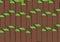 Composition of rows of green topped earth brown blocks of varying height