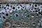 A composition of a set of gears and car parts that are welded to each other and painted green. Grunge steampunk textur
