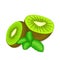 Composition of several kiwi and mint leaves. Ripe vector kiwifruits with fresh pepper mint leaf appetizing looking