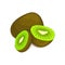 Composition of several kiwi. Ripe vector kiwifruits whole and slice appetizing looking. Group tasty fruits colorful