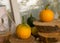 Composition of small pumpkins and apples, wooden disc base, Halloween time