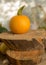 Composition of small pumpkins and apples, wooden disc base, Halloween time