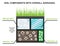 Composition of the soil. Components of the earth. Agroindustrial industry infographics. Percentage of water, minerals