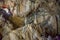 A composition of stalactites and stalagmites in the New Afon cave. Abkhazia.