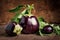 Composition with Three Eggplants, still life