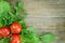 Composition of tomato with lettuce, parsley, dill